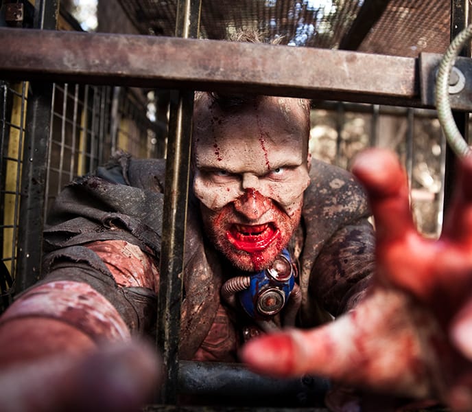 Thumbnail - Zombie reaching for camera